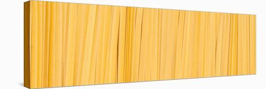 Fettuccine Pasta Number 2-Steve Gadomski-Stretched Canvas