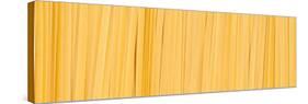 Fettuccine Pasta Number 2-Steve Gadomski-Stretched Canvas