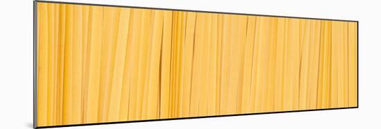 Fettuccine Pasta Number 2-Steve Gadomski-Mounted Photographic Print