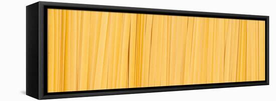 Fettuccine Pasta Number 2-Steve Gadomski-Framed Stretched Canvas