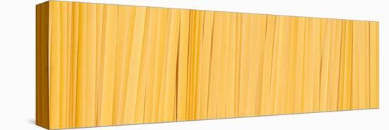 Fettuccine Pasta Number 2-Steve Gadomski-Stretched Canvas