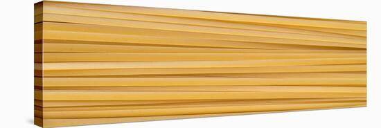 Fettuccine Pasta-Steve Gadomski-Stretched Canvas