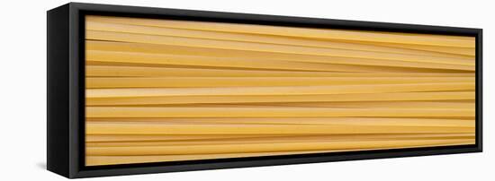 Fettuccine Pasta-Steve Gadomski-Framed Stretched Canvas