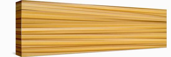 Fettuccine Pasta-Steve Gadomski-Stretched Canvas