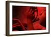 Fetus Inside Womb-Stocktrek Images-Framed Art Print