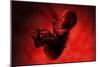 Fetus Inside Womb-Stocktrek Images-Mounted Art Print
