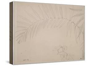 Feuillage et, en bas, cyclamens-Odilon Redon-Stretched Canvas