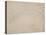 Feuillage et, en bas, cyclamens-Odilon Redon-Stretched Canvas