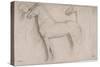 Feuille d'études : chevaux et croquis d'une tête d'adolescent-Edgar Degas-Stretched Canvas