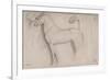 Feuille d'études : chevaux et croquis d'une tête d'adolescent-Edgar Degas-Framed Giclee Print