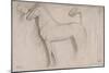 Feuille d'études : chevaux et croquis d'une tête d'adolescent-Edgar Degas-Mounted Giclee Print