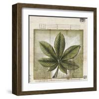 Feuille de Marronier-Gouny & Marange-Framed Art Print