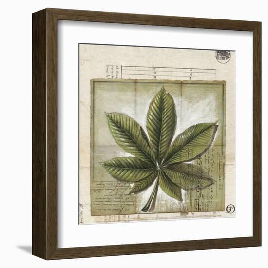 Feuille de Marronier-Gouny & Marange-Framed Art Print