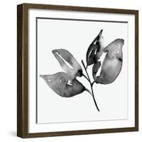 Feuille I-Melissa Wang-Framed Art Print