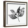 Feuille I-Melissa Wang-Framed Art Print