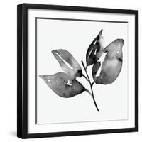 Feuille I-Melissa Wang-Framed Art Print