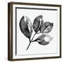 Feuille II-Melissa Wang-Framed Art Print