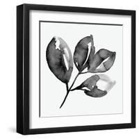 Feuille II-Melissa Wang-Framed Art Print