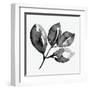 Feuille II-Melissa Wang-Framed Art Print