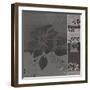 Feuilles Damasque II-Jacques Jugeat-Framed Art Print