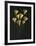 Feuilles de Ginkgo-Paul Taylor-Framed Art Print