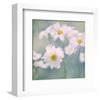 Feverfew I-Judy Stalus-Framed Art Print