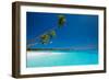 Few Coconut Palms on Deserted Beach of Tropical Island-Martin Valigursky-Framed Photographic Print