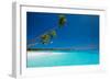 Few Coconut Palms on Deserted Beach of Tropical Island-Martin Valigursky-Framed Photographic Print