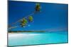 Few Coconut Palms on Deserted Beach of Tropical Island-Martin Valigursky-Mounted Photographic Print