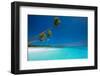 Few Coconut Palms on Deserted Beach of Tropical Island-Martin Valigursky-Framed Photographic Print