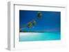 Few Coconut Palms on Deserted Beach of Tropical Island-Martin Valigursky-Framed Photographic Print