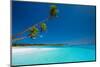 Few Coconut Palms on Deserted Beach of Tropical Island-Martin Valigursky-Mounted Photographic Print