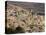 Fez, Morocco, North Africa, Africa-Marco Cristofori-Stretched Canvas