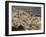 Fez, Morocco, North Africa, Africa-Marco Cristofori-Framed Photographic Print