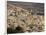 Fez, Morocco, North Africa, Africa-Marco Cristofori-Framed Photographic Print