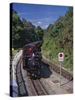 Ffestiniog Railway at Tan-Y-Bwlch, the Busiest of the North Wales Narrow Gauge Railways-Nigel Blythe-Stretched Canvas