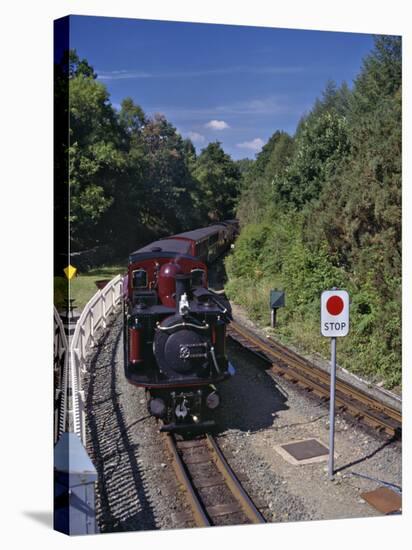 Ffestiniog Railway at Tan-Y-Bwlch, the Busiest of the North Wales Narrow Gauge Railways-Nigel Blythe-Stretched Canvas