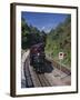 Ffestiniog Railway at Tan-Y-Bwlch, the Busiest of the North Wales Narrow Gauge Railways-Nigel Blythe-Framed Photographic Print