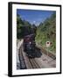 Ffestiniog Railway at Tan-Y-Bwlch, the Busiest of the North Wales Narrow Gauge Railways-Nigel Blythe-Framed Photographic Print