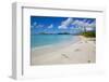 Ffryes Beach, St. Mary, Antigua, Leeward Islands, West Indies, Caribbean, Central America-Frank Fell-Framed Photographic Print