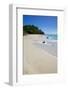 Ffryes Beach, St. Mary, Antigua, Leeward Islands, West Indies, Caribbean, Central America-Frank Fell-Framed Photographic Print