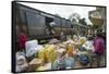 Fianarantsoa to Manakara FCE train, cargo being unloaded, eastern area, Madagascar, Africa-Christian Kober-Framed Stretched Canvas