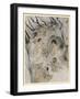 Fianna Ensnared-Arthur Rackham-Framed Art Print