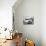 Fiat 1900A, C1954-C1958-null-Mounted Photographic Print displayed on a wall