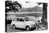 Fiat 500 Giardiniera, C1962-null-Stretched Canvas