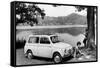 Fiat 500 Giardiniera, C1962-null-Framed Stretched Canvas