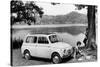 Fiat 500 Giardiniera, C1962-null-Stretched Canvas