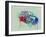 Fiat 500 Watercolor-NaxArt-Framed Art Print