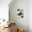 Fiat Balilla-null-Stretched Canvas displayed on a wall