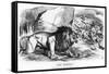 Fiat Justitia! the British Lion and the Afghan Wolves, Cartoon from 'Punch' Magazine-John Tenniel-Framed Stretched Canvas